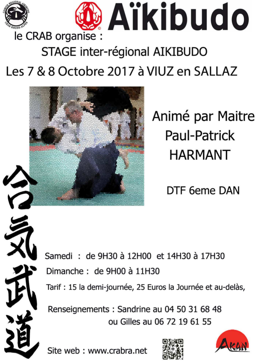 Aikibudo viuz 2017 10 8